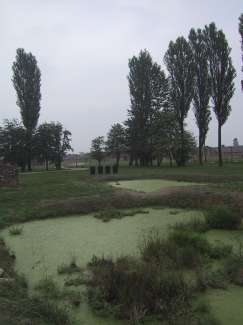 IMG_1528.JPG